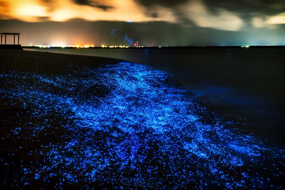 Most Stunning Places - Vadhoo Sea of Stars