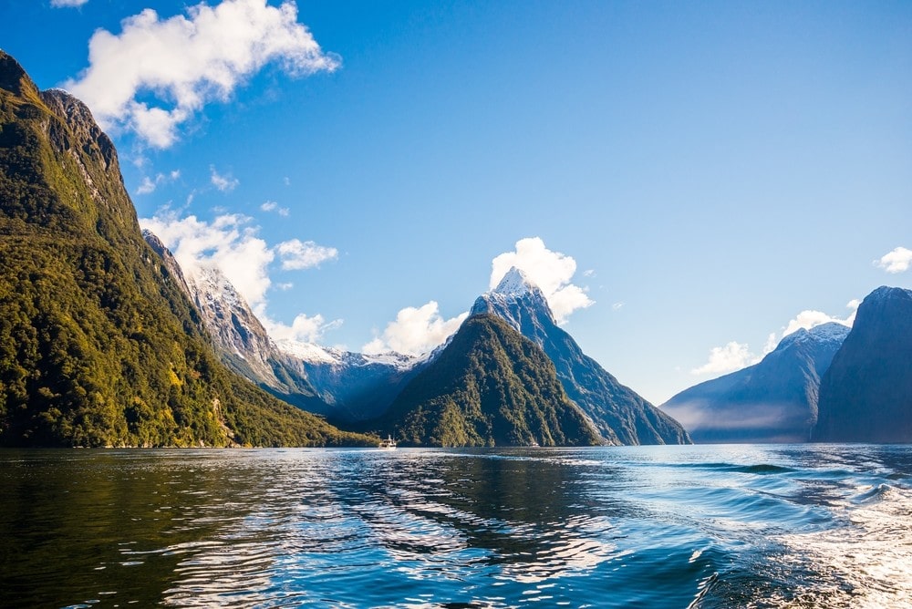 101 Crazy Fun Facts About New Zealand