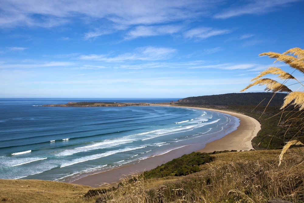 101 Crazy Fun Facts About New Zealand