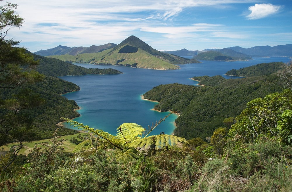 Things to Do in New Zealand South Island - Marlborough Sound