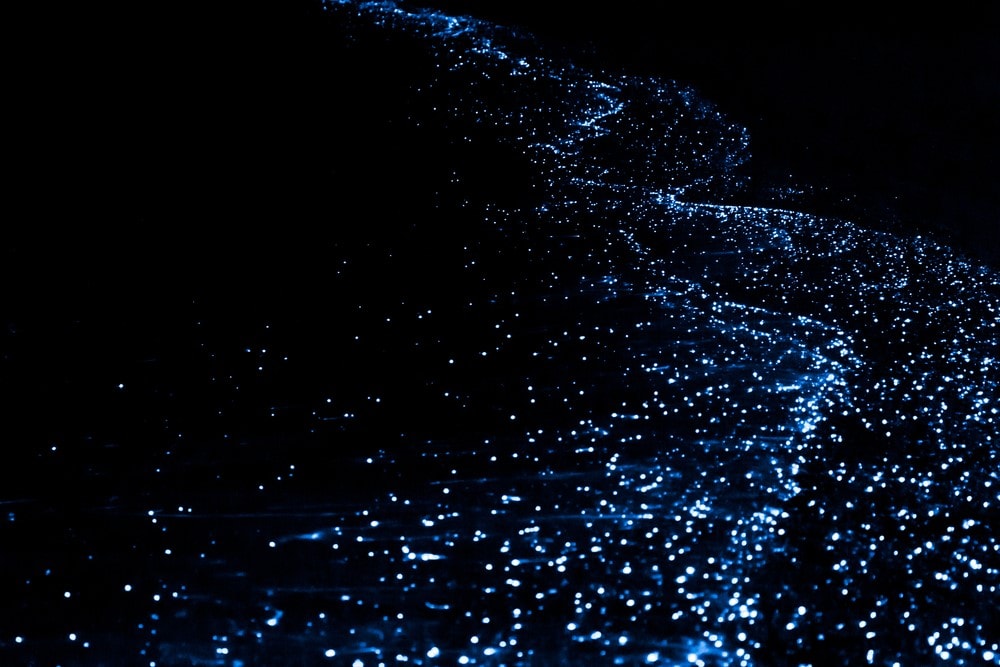 Activities and attractions on the Maldives Watch the illumination of plankton