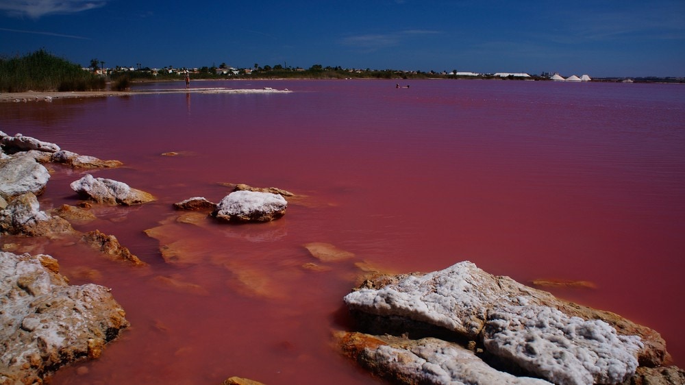 20 Most Amazing Places to Visit Before You Die - Salt Lakes Torrevieja