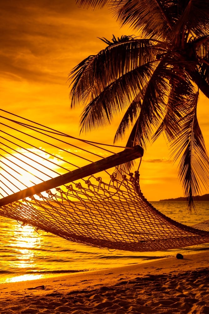 Things to do in Fiji Relax on a hammock