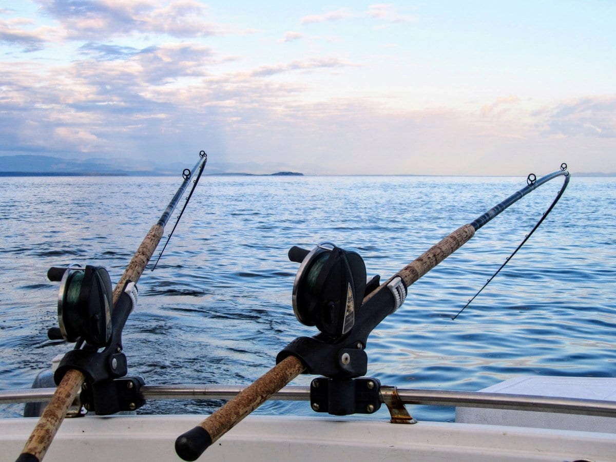 Two fishing rods