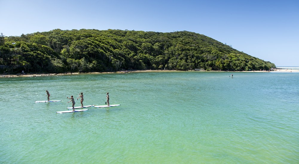 Stand up paddle boarding in Tallebudgera creek, Queensland Australia