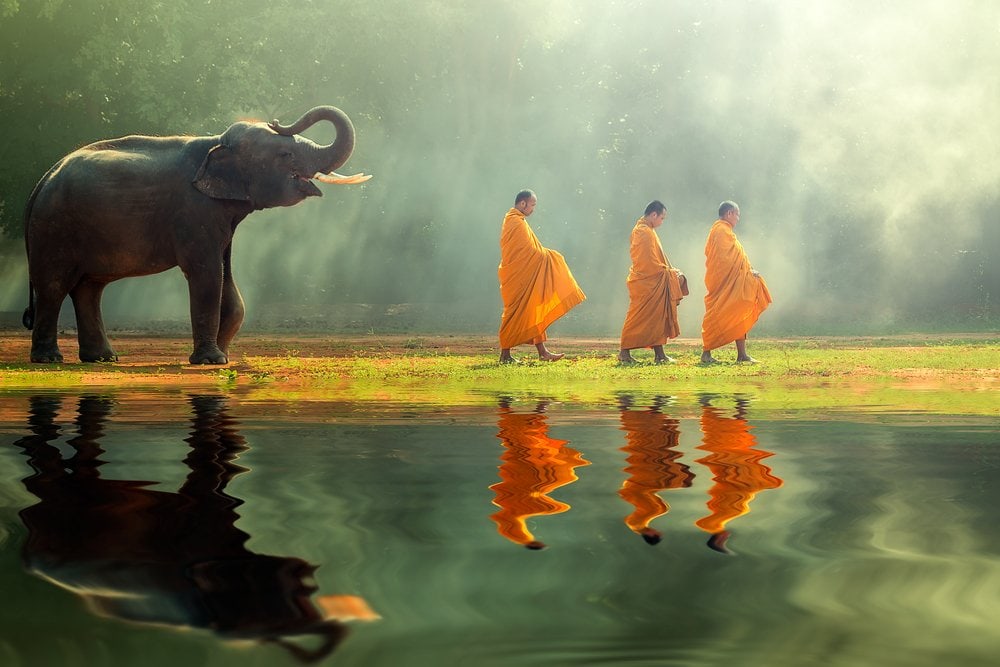 Thailand Elephant and monks