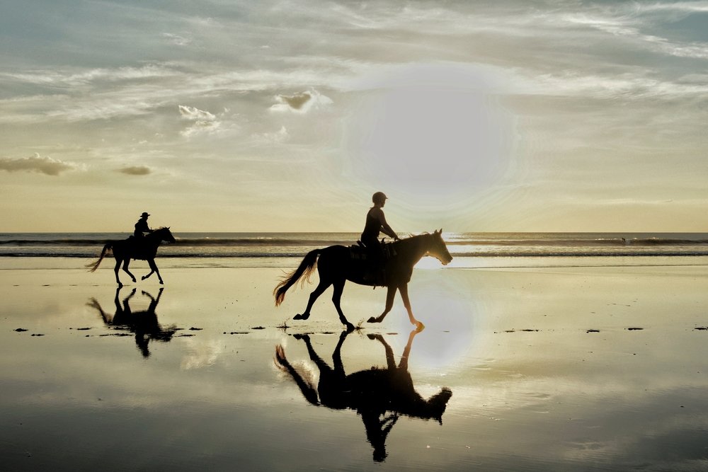 horse riding at the beach
