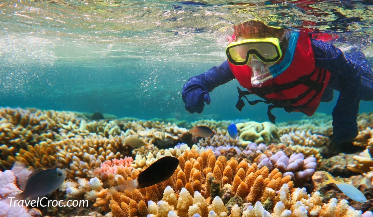 Circunstancias imprevistas robot práctica Snorkeling in Puerto Rico: Explore The Best Beaches, Reefs & Marine Life!