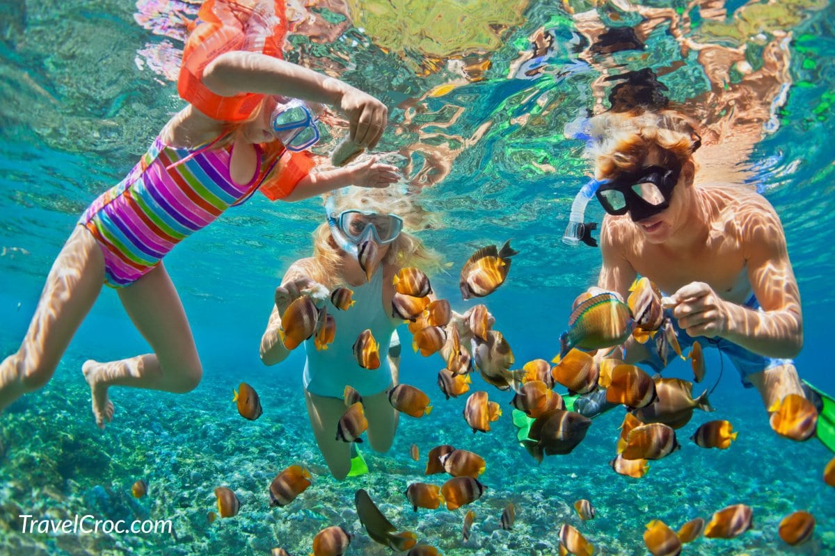 Snorkeling with reef fish in in Puerto Rico