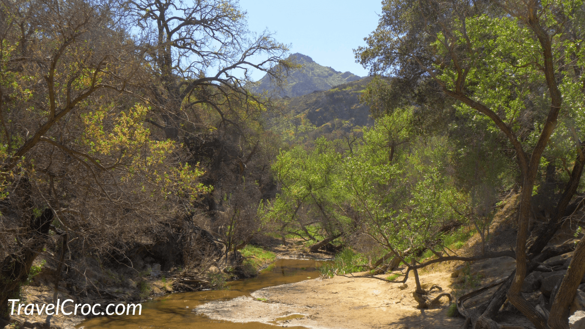 Hiking Trail in Malibu Creek State Park in California