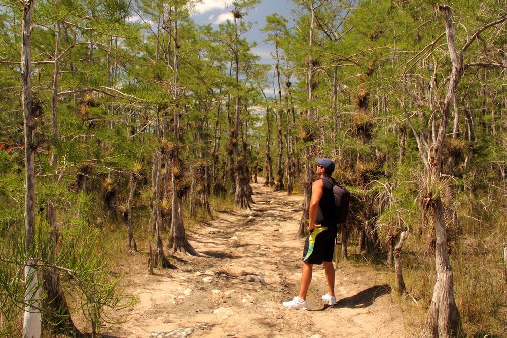 Big Cypress National Preserve - National Park in Florida