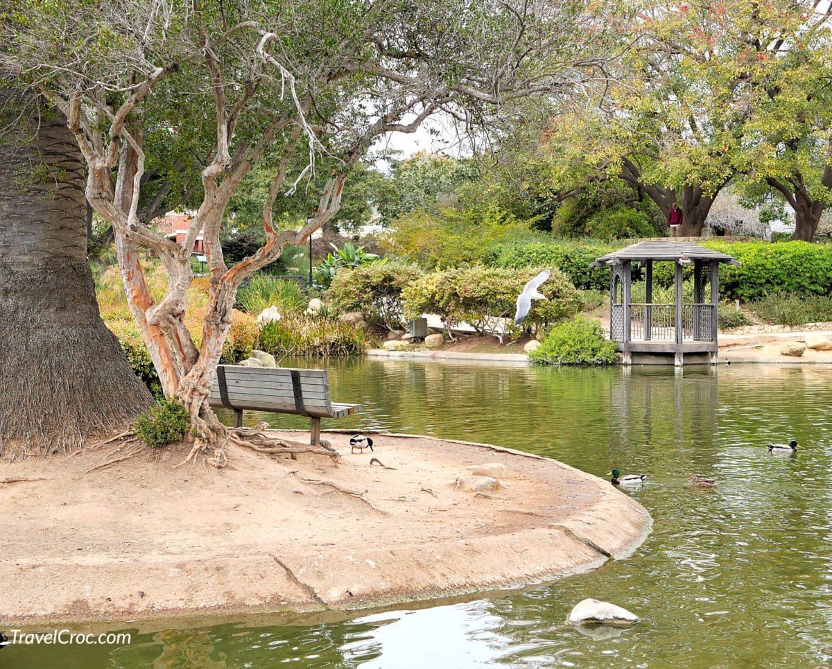Botanic garden bench and scenic pond in Santa Barbara California.