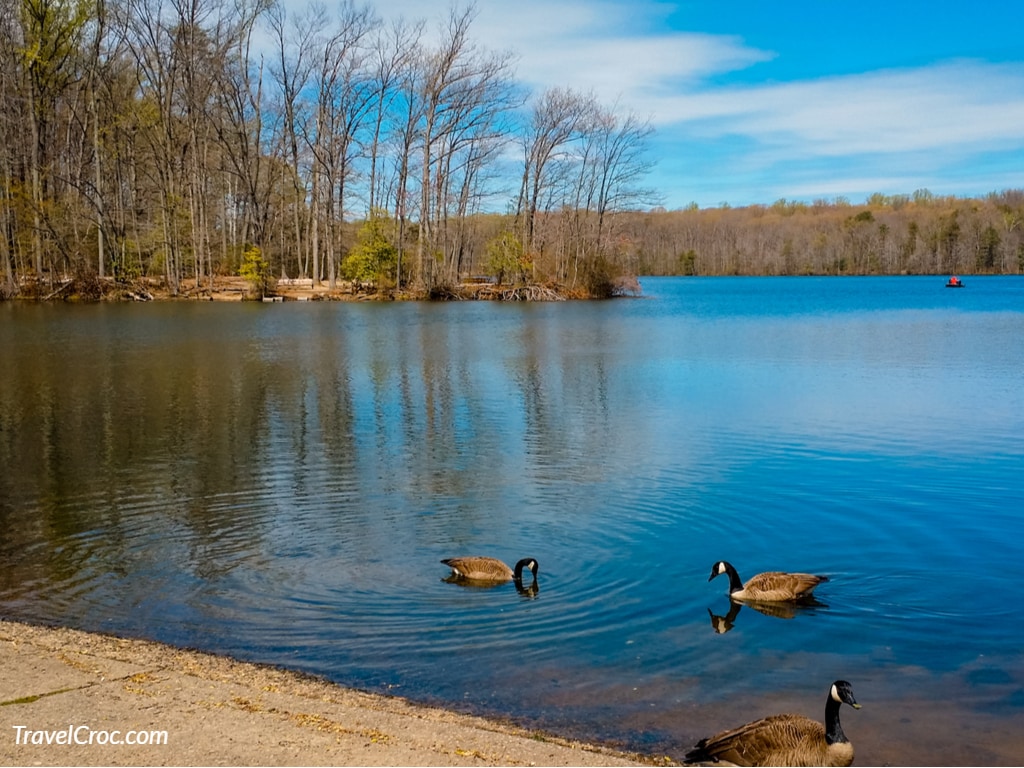 Burke Lake Park ,Virginia