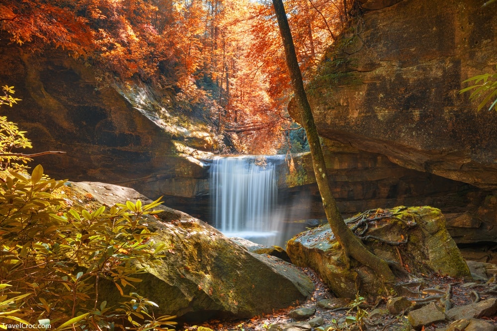 Dog Slaughter Falls in Daniel Boone National Forest - Falls in Kentucky 