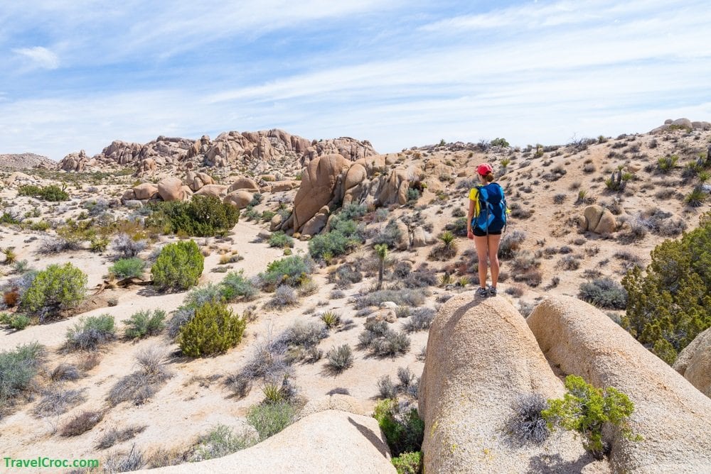 Best time to go hiking at Joshua Tree Park 