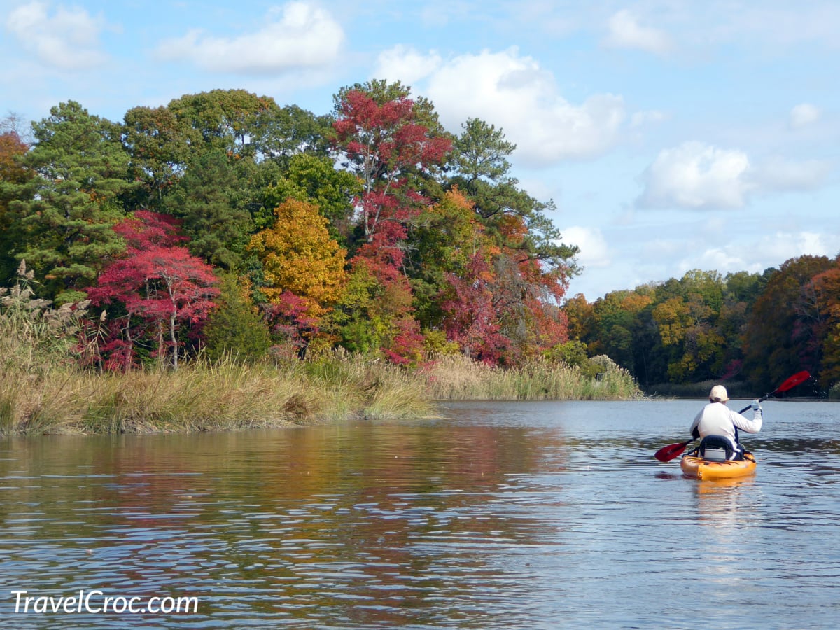 Kayaking near fall foliage in and around Maryland