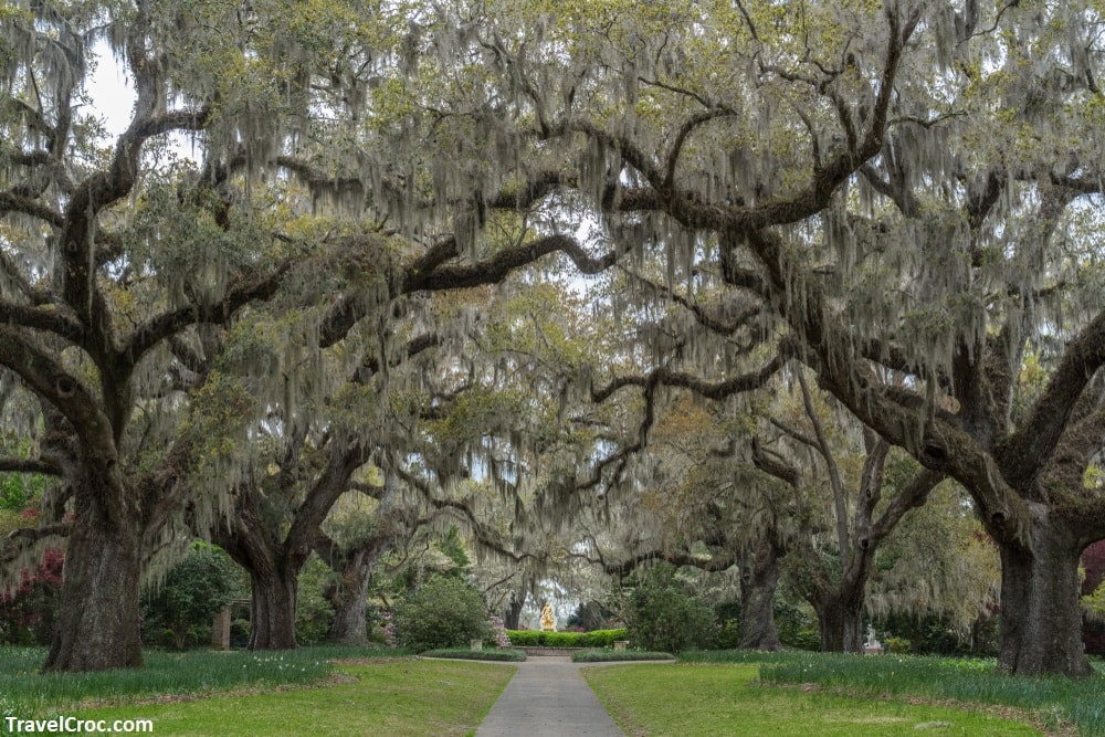 Brookgreen Gardens South Carolina - Things to do in Myrtle Beach