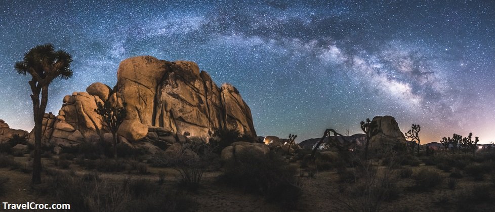 best time to visit joshua tree for stargazing