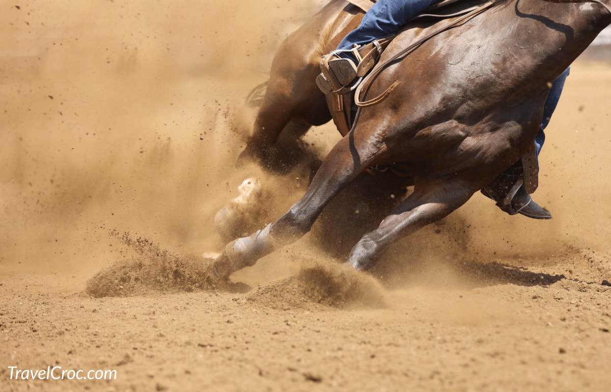 A horse galloping and sliding in the dirt.