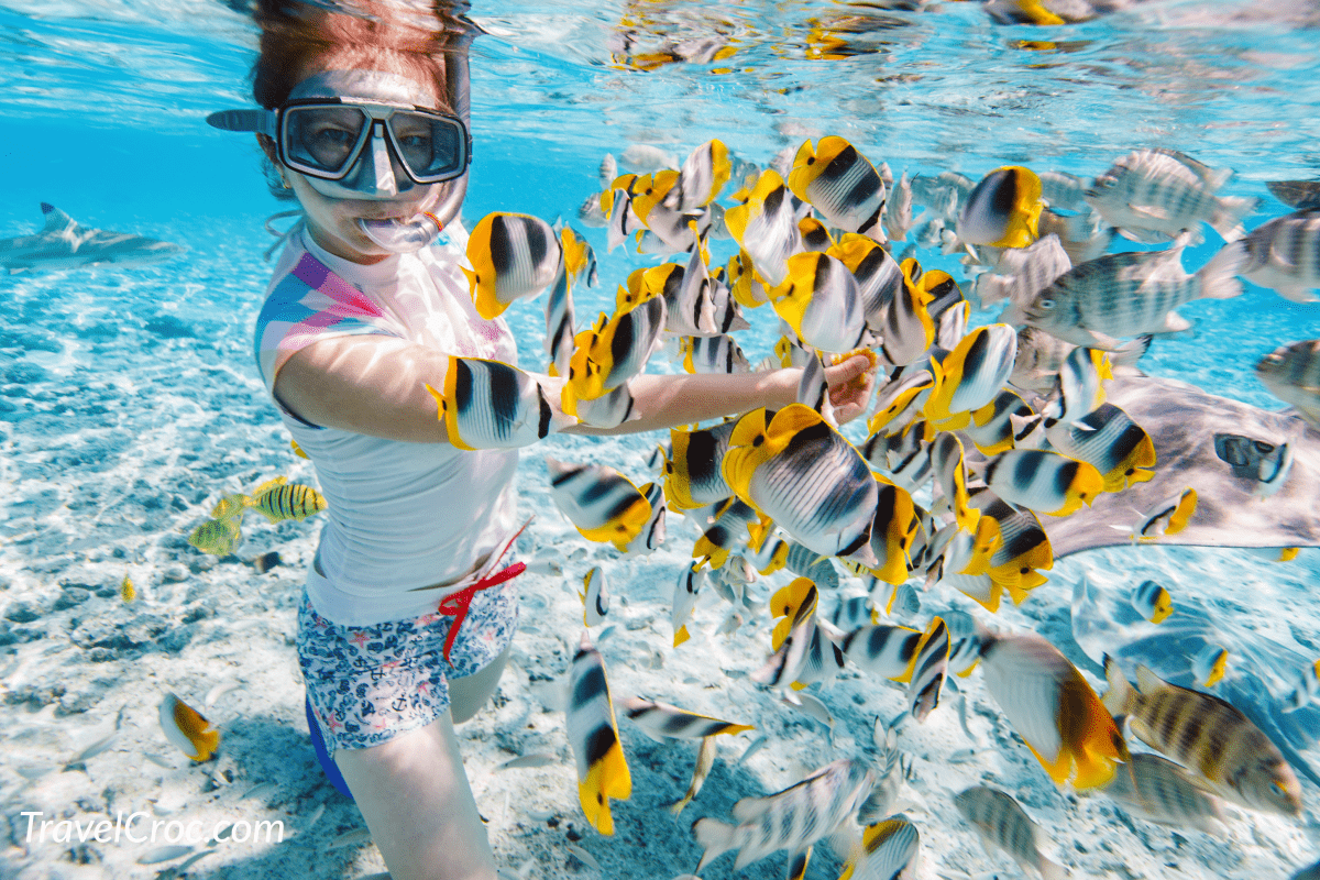 Woman snorkeling with clear tropical waters among colorful fish