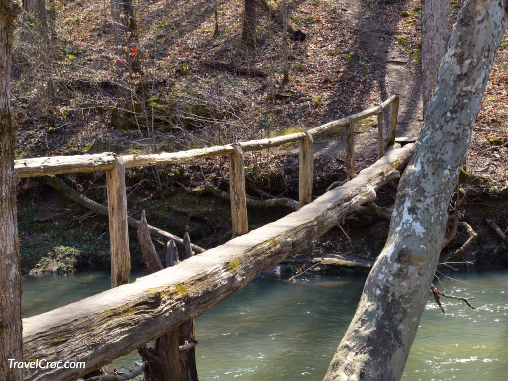 Wooden walking bridge made out of a log connecting hiking trail in Jericho Alabama