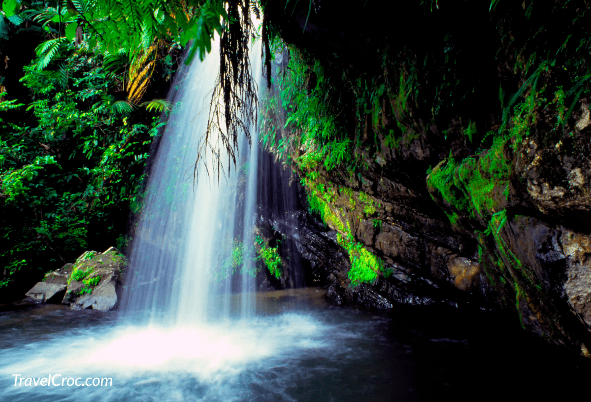 Puerto Rico, El Yunque National Forest, lush vegetation and waterfall