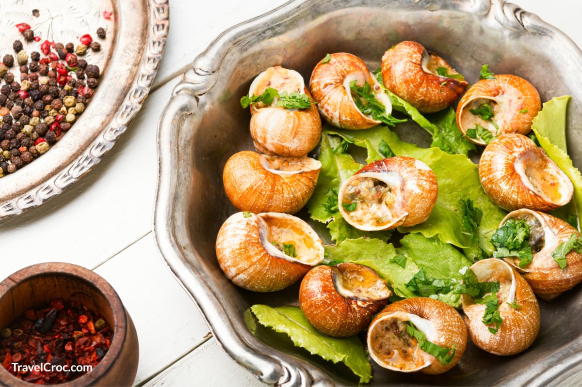 Bourgogne snail or escargot stuffed with green butter, French food.