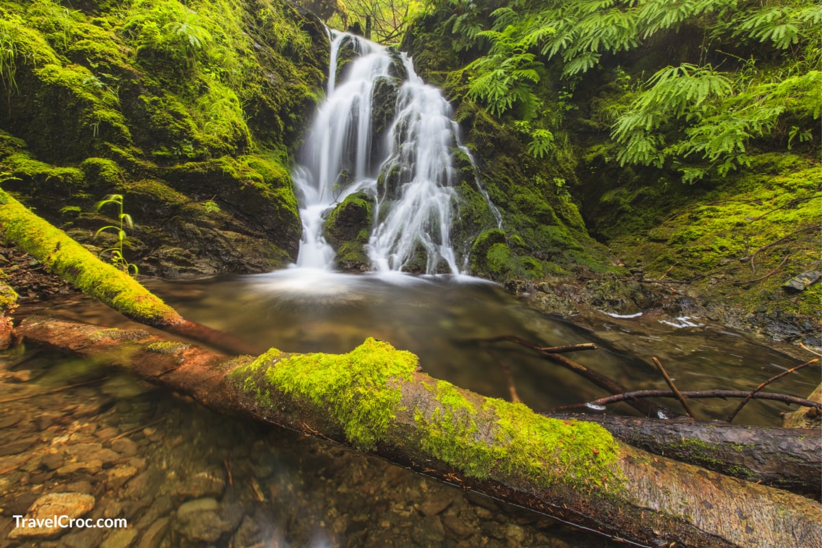 Cascade waterfall with a dead log