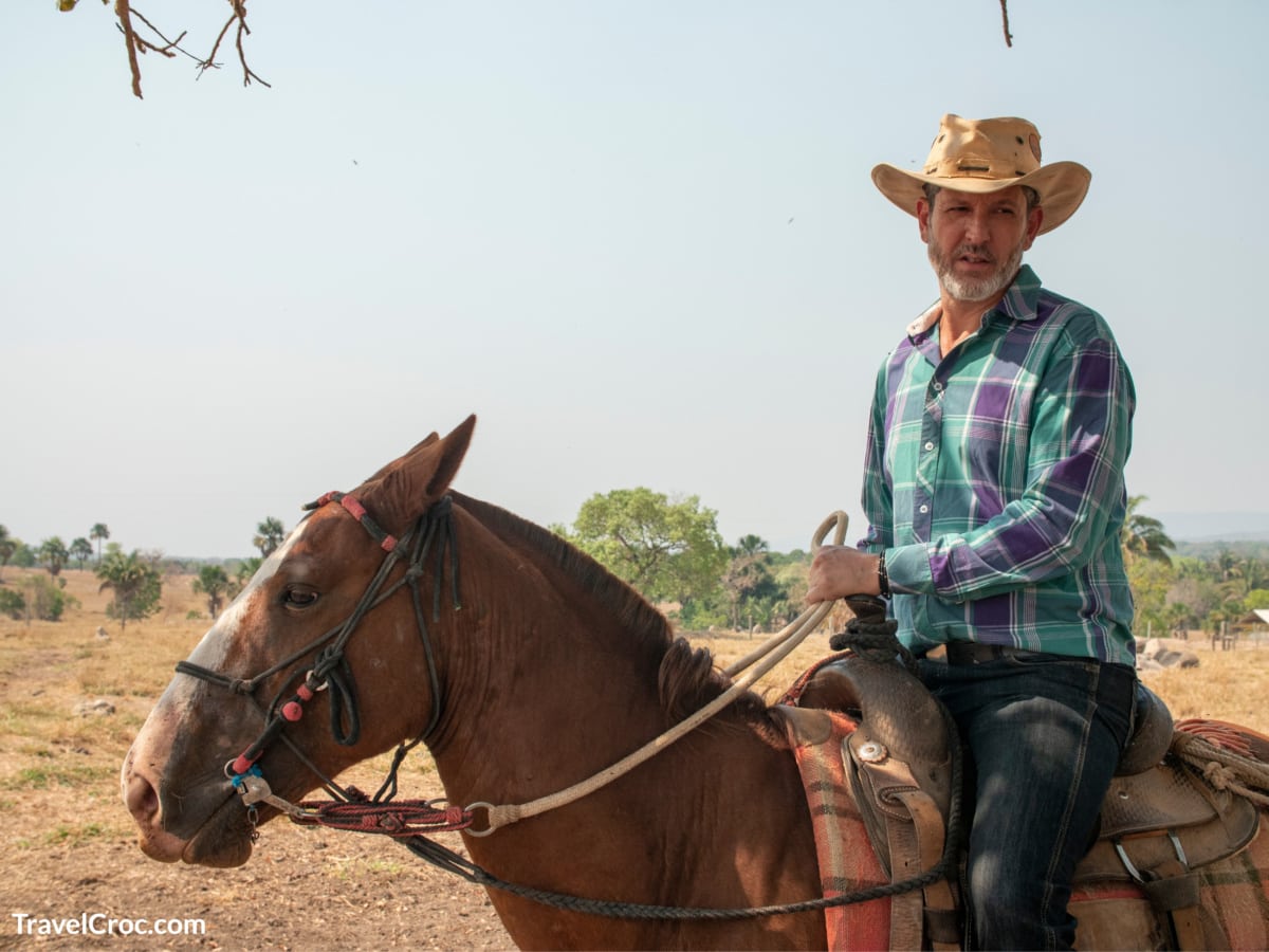 Cowboy riding horse on a cattle farm