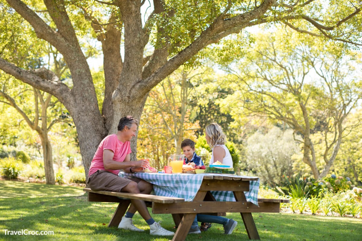 Happy family interacting with each other while having meal in park on a sunny day