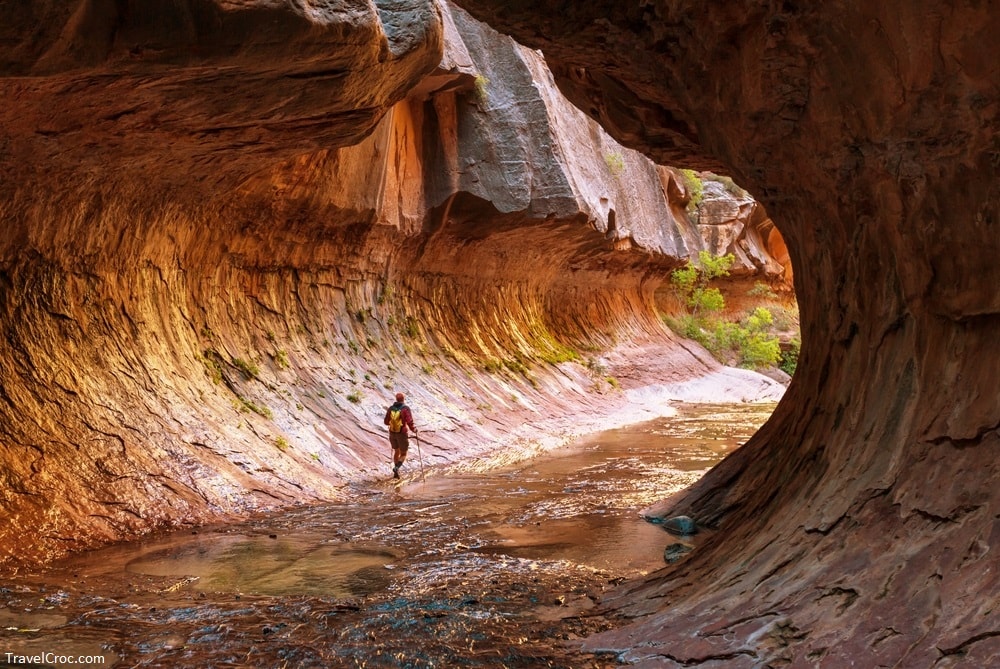 Narrows in Zion National Park, Utah - Best Time to Visit Zion Narrows