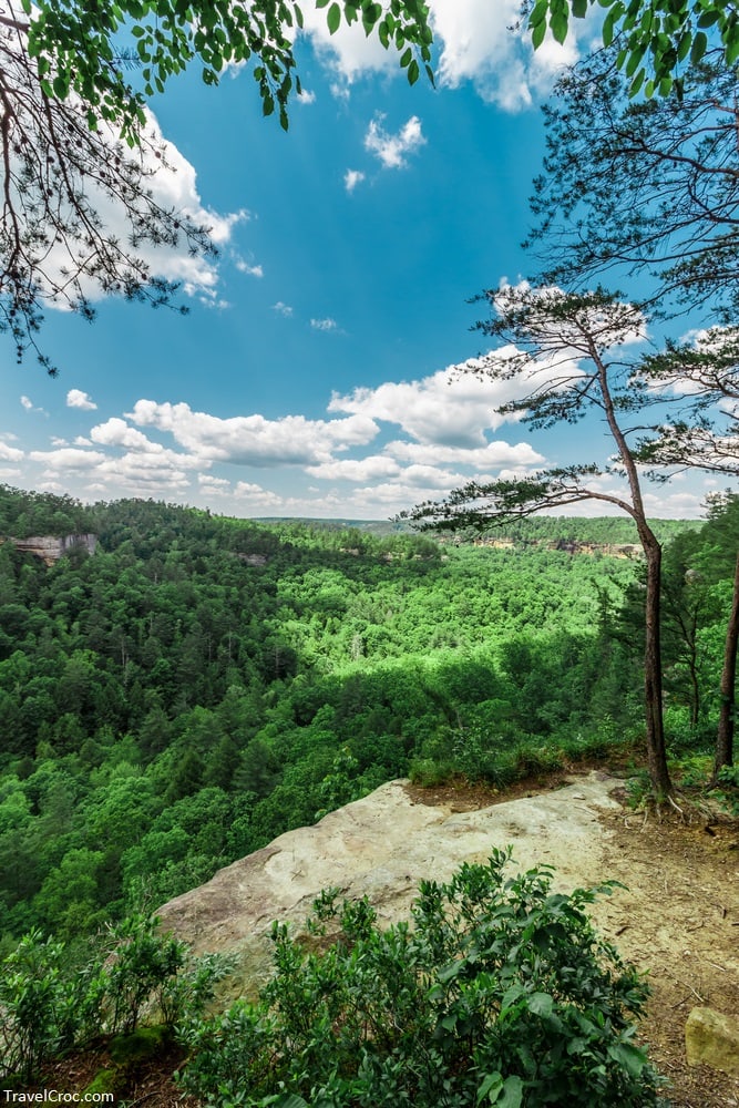 Scenic Overlook in Kentucky's Red River Gorge