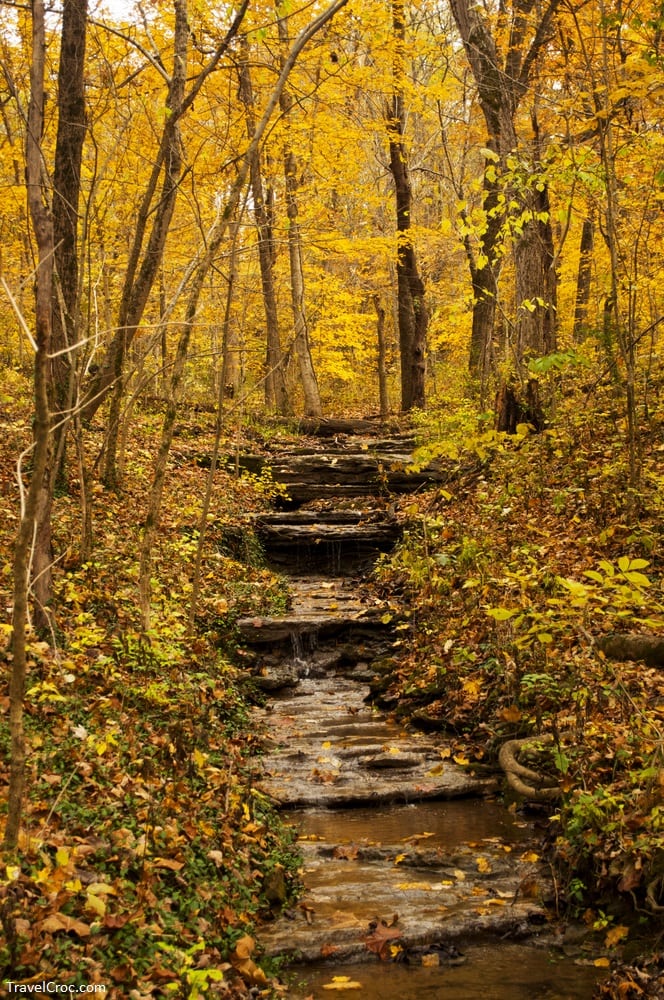 Wooded stream in Cherokee Park, Louisville Kentucky - Hiking trails in Kentucky