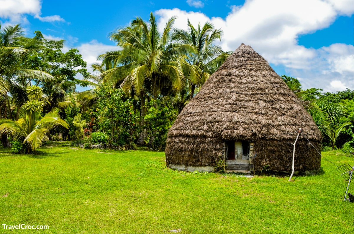 traditional house in the island of Lifou, surrounded by vegetation and palm tress