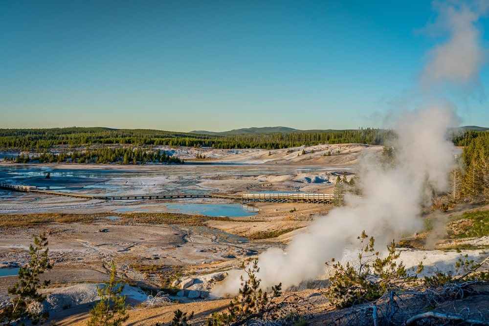 Amazing landscape of small geysers, hot springs, and vents. The boardwalk among pools. Porcelain Basin of Norris Geyser Basin, Yellowstone National Park, Wyoming