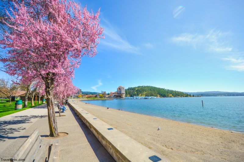 Colorful trees blossoming in the Spring along the sandy shores of Lake Coeur d'Alene in Coeur d'Alene, Idaho.
