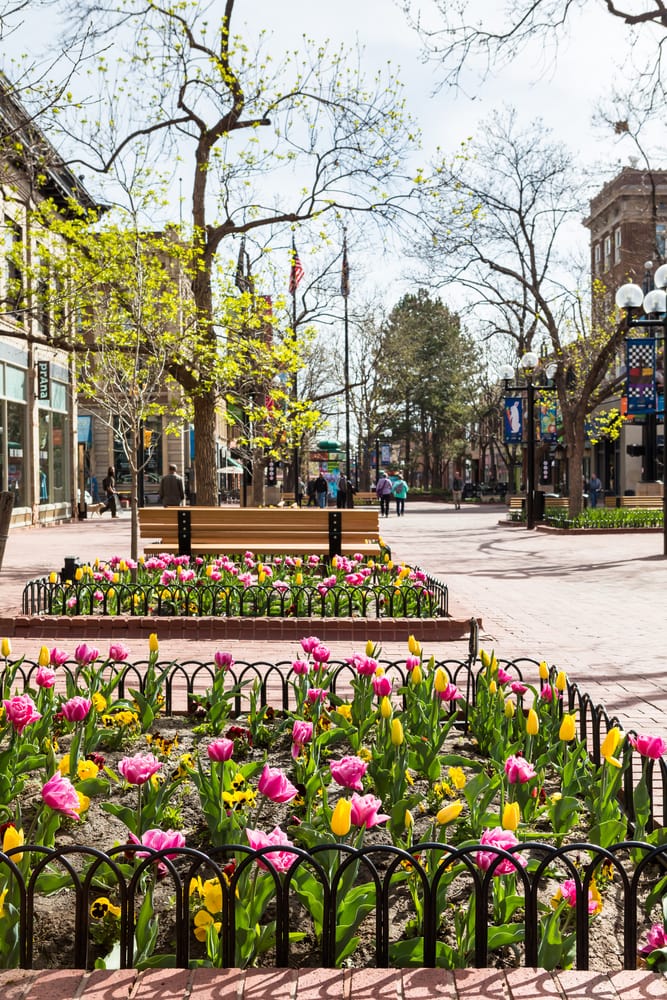 Denver, Colorado, Pearl Street Mall during tulip bloom in early Spring - Denver average temperature by month