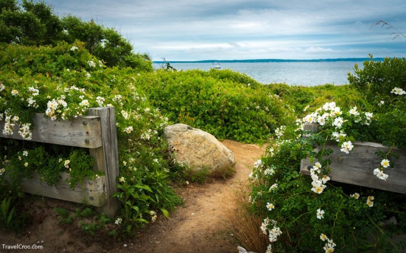 Entrance to the beach between wooden fences. Large rock and wild rose bushes at seashore with view of Martha's Vineyard on Cape Cod - Best beaches in Cape Cod