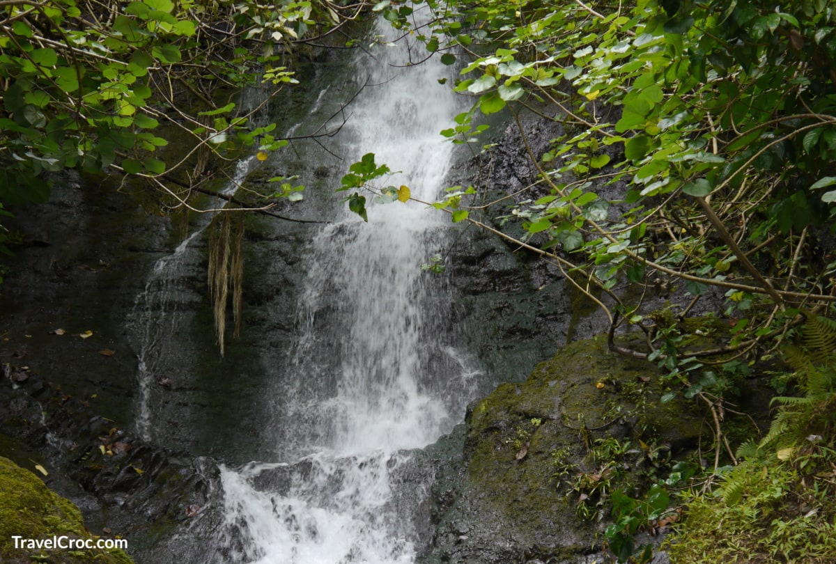 Likeke Falls - Best Waterfall Hikes in Oahu