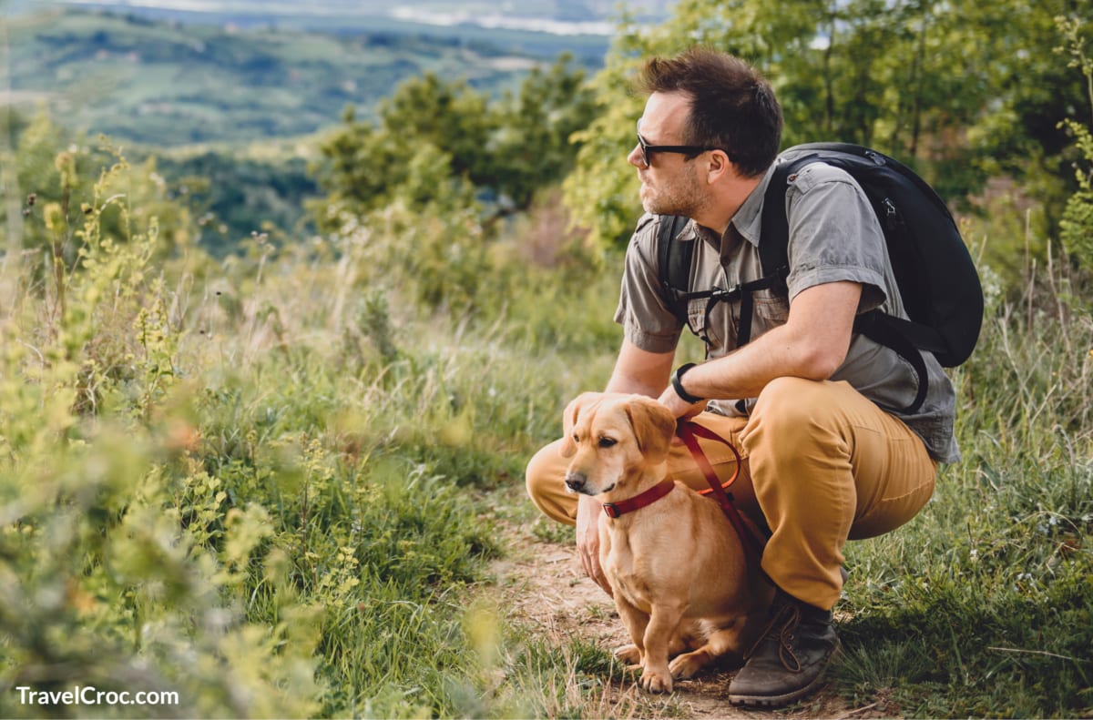 Man with dog on hiking trail