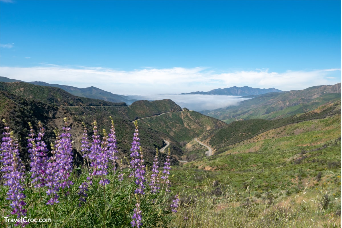Ojai hiking trails - Los Padres National Forest,