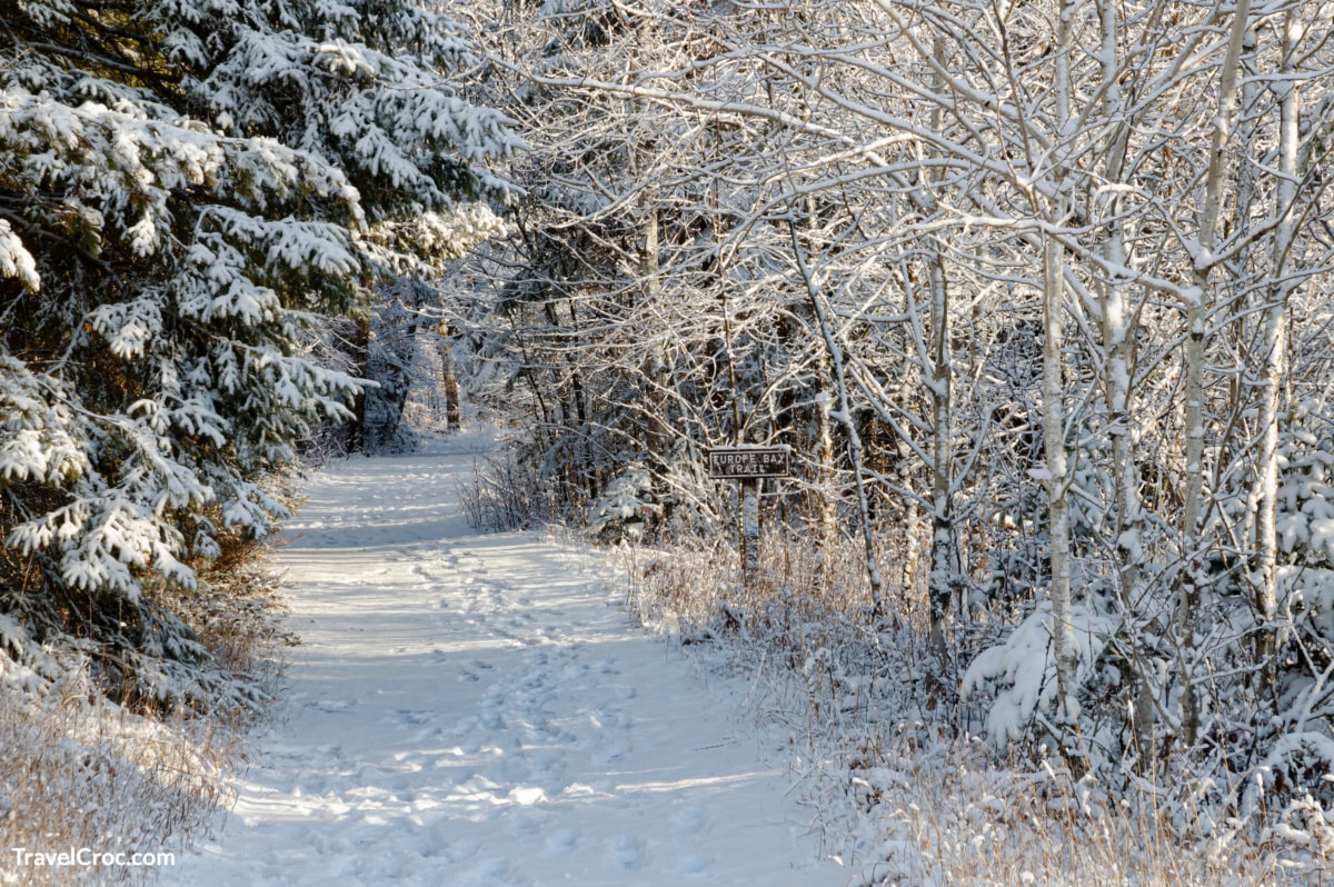 The Europe Bay Trail is freshly coated with snow in Newport State Park, Door County, Wisconsin