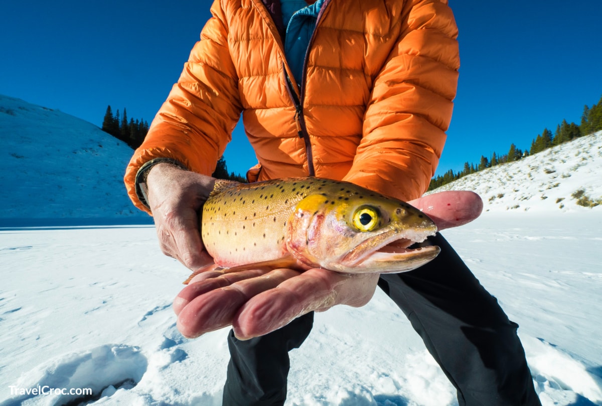 Things to do in Utah in Winter - man fishing in the winter with a successful catch