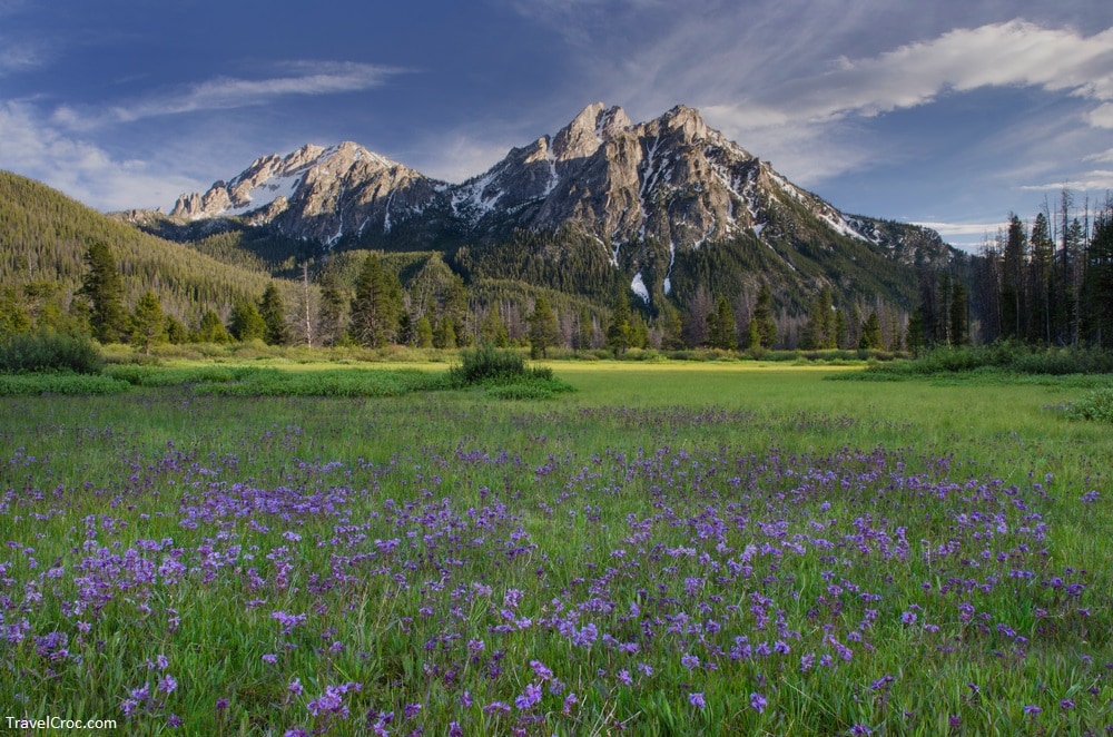 Things to Do in Moscow Idaho Including Free Things!