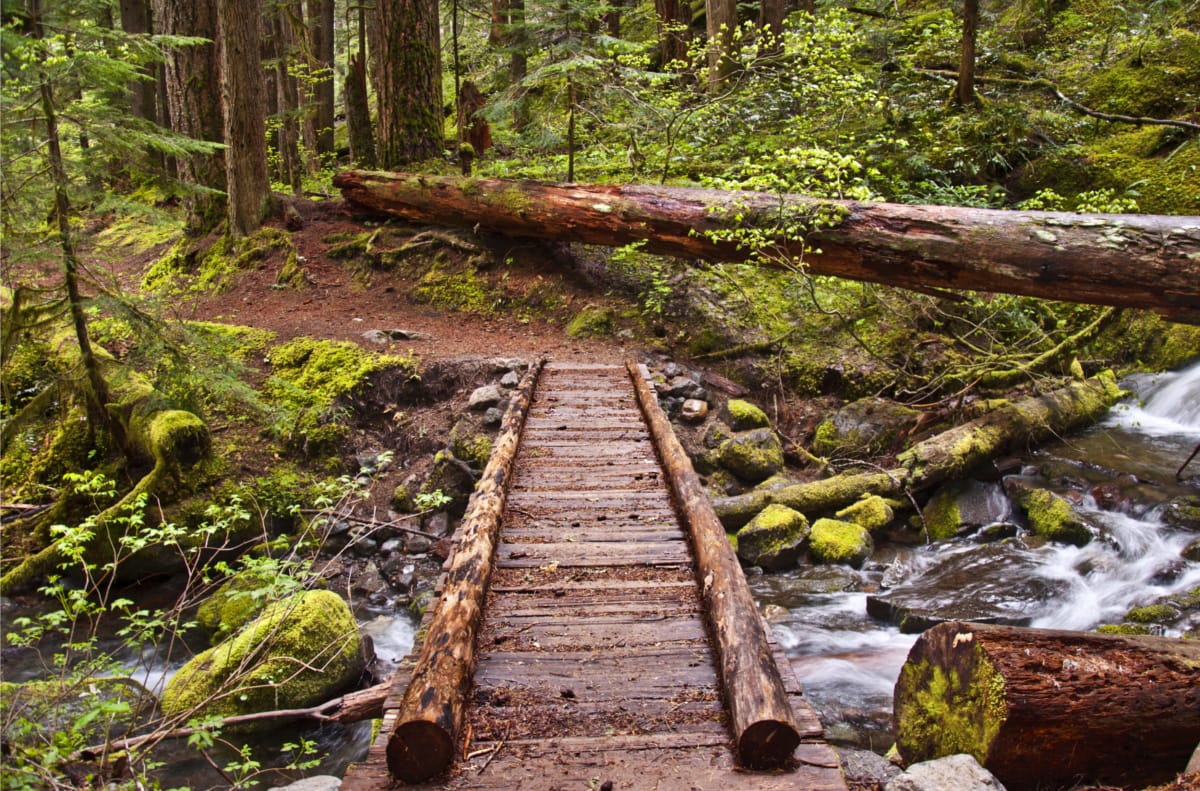 Wooden bridge seen on hiking trip.