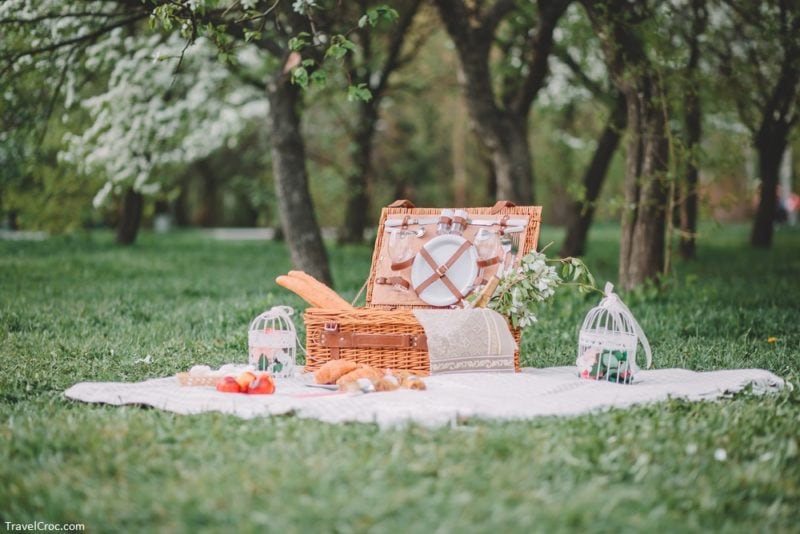 Free things to do in Moscow, Idaho - a cozy picnic in nature at Ghormley Park