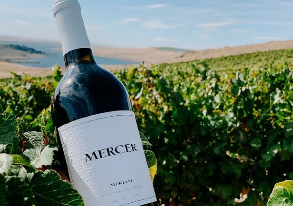 Mercer Wine Estates - Wine bottle and grape plantation - Prosser WA 