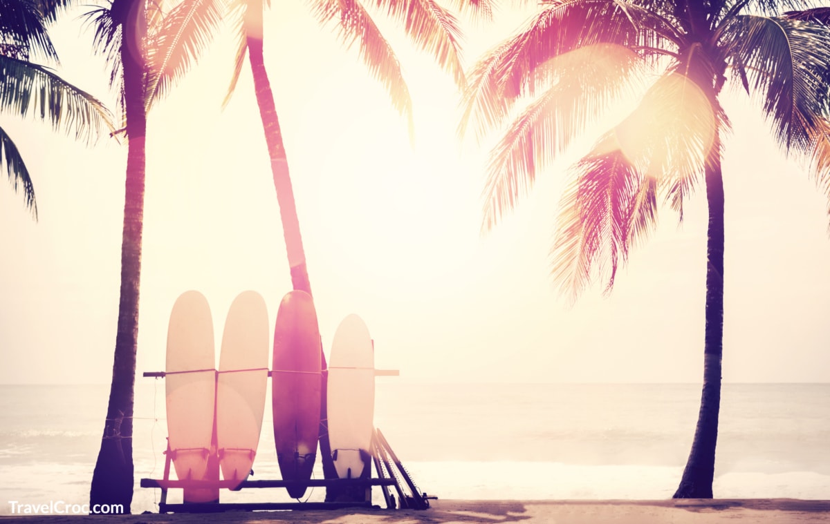 Surfboards amongst a beach backdrop