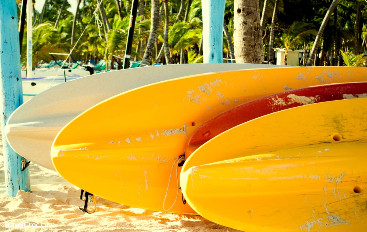 Surfboards lined up for surfing