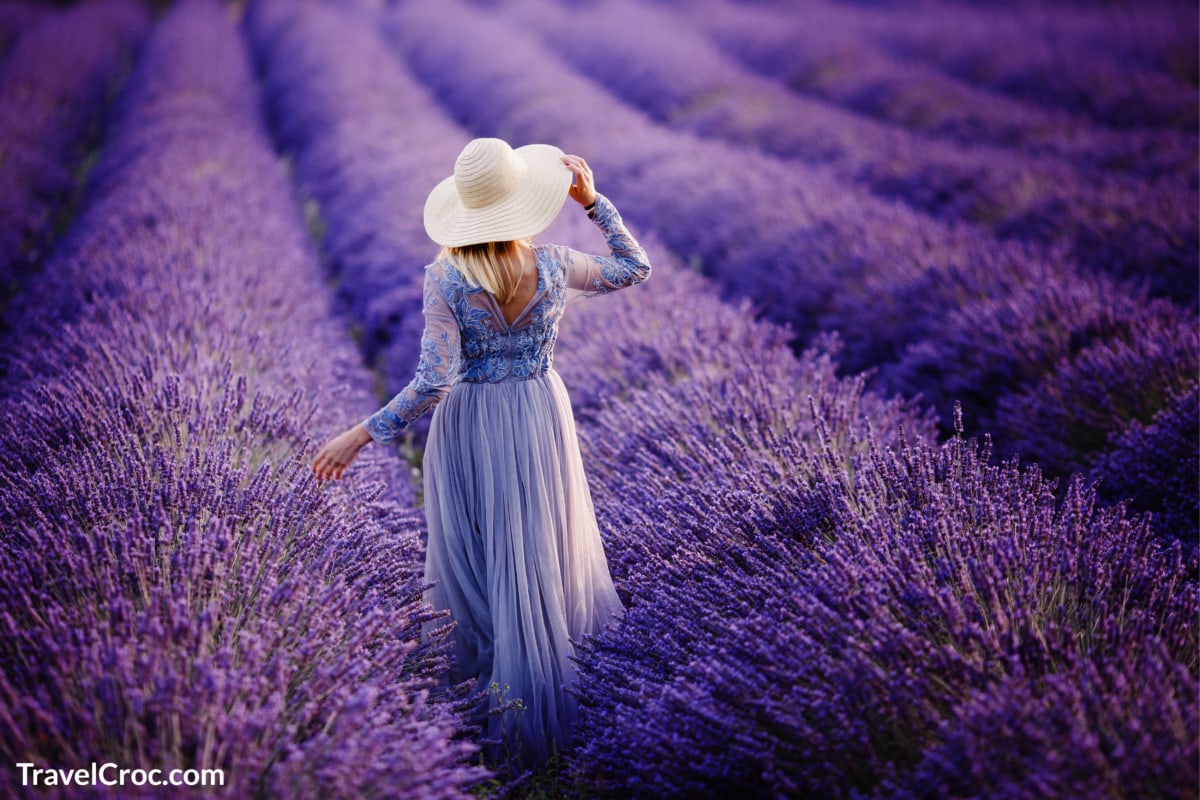 Woman in lavender flowers field at sunset